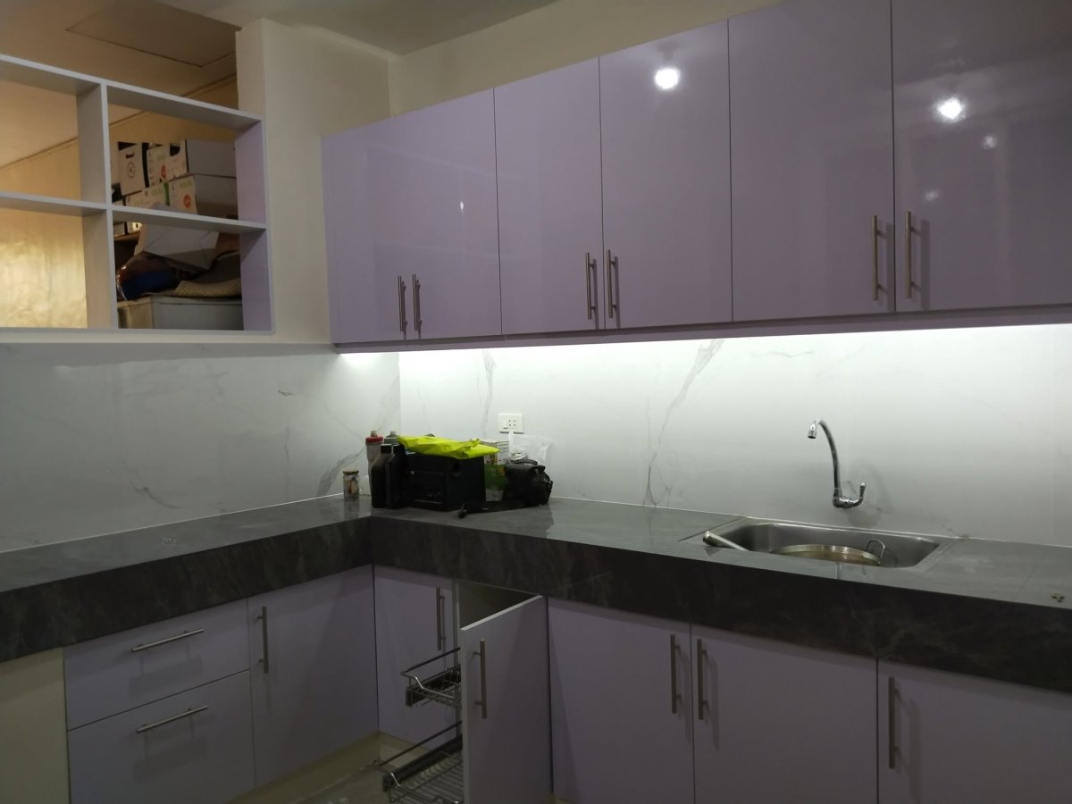 Kitchen and Roof Renovation